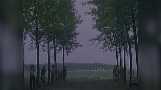 ������� / Miranda 