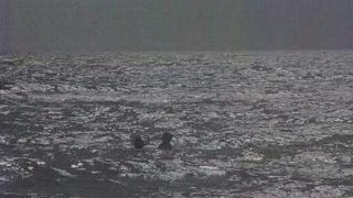 ������ ����� 9ensoand3945) 