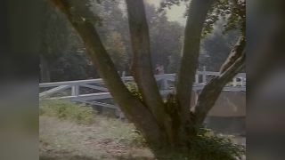 �������� - ���� ����� ��������