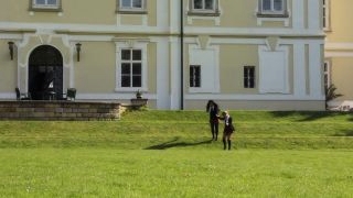 ������� �������� 